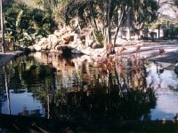 photos 2000-200900173